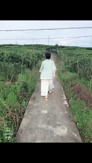 奔跑在茶园里时才感觉找到自己