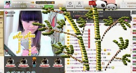 ✨星光不问赶路人💫主播照片