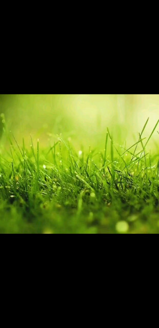 敌人也可以变成合作伙伴-卓锋