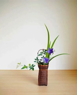 დ释怀დ主播照片
