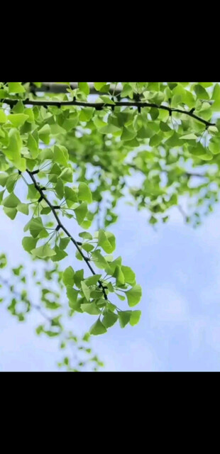 不要以为有过不完的明天-卓锋固