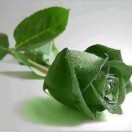 简单的我y1海报