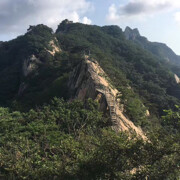 大圣归来789的头像