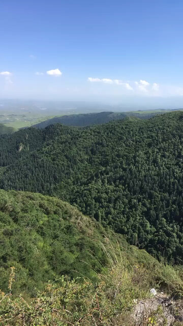 只想在这大山深处静静