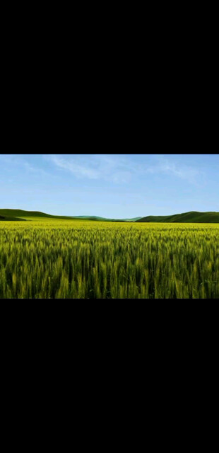 持续学习是最好的护身符