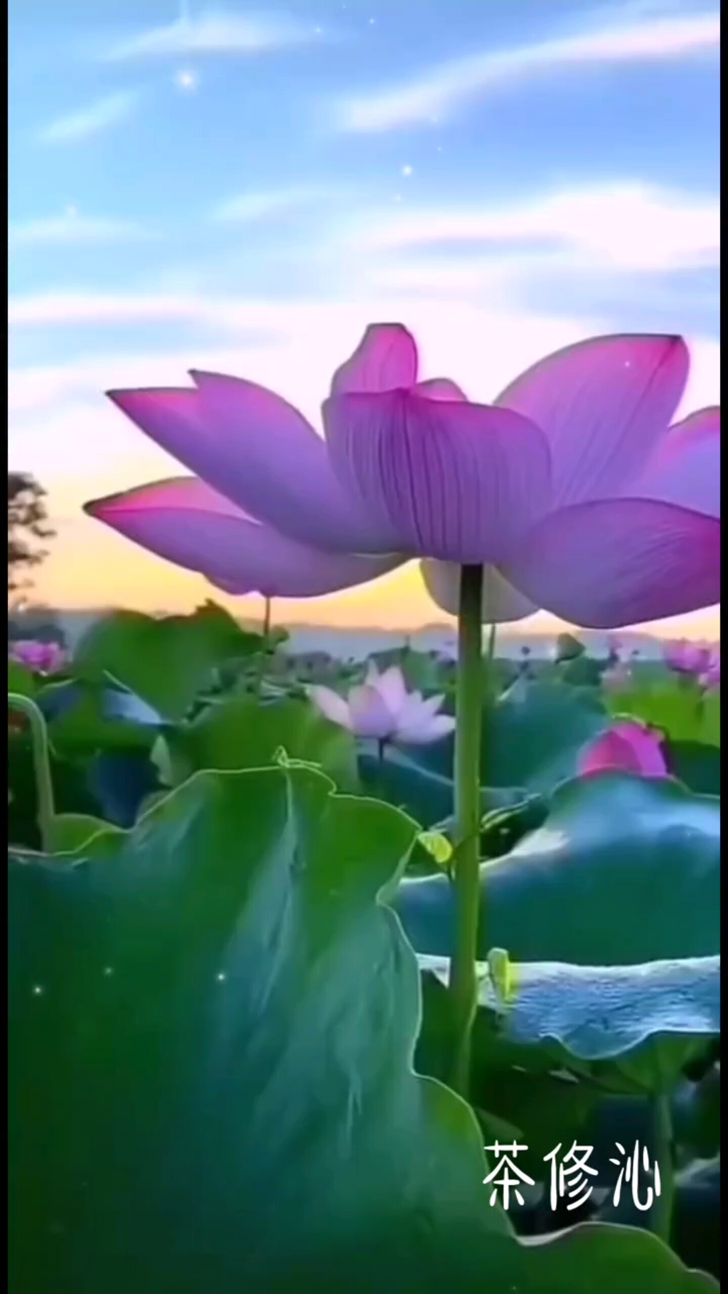 感恩生命里的遇见🙏🙏🙏