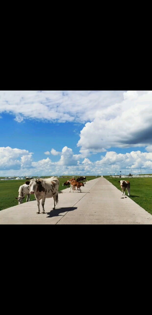 不怕万人阻挡就怕自己投降-卓锋