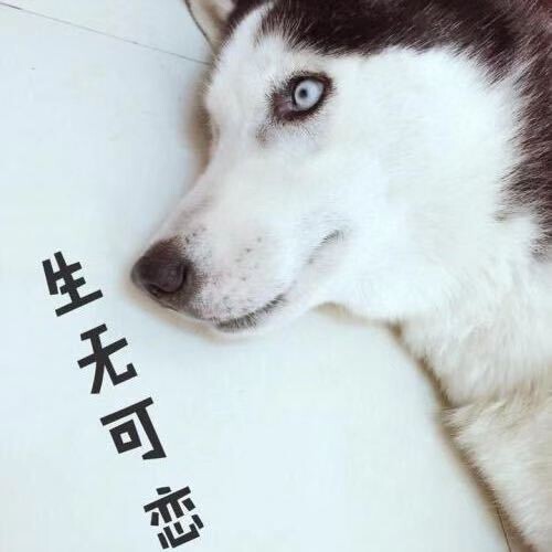 九公子_染指的主播照片