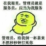 老子不做管理的头像