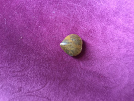 荷溢清流1dipwz主播照片