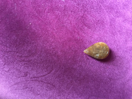 荷溢清流1dipwz主播照片