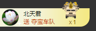海鸽晚上见主播照片