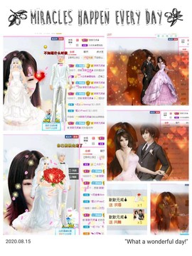 一只雁~主播照片
