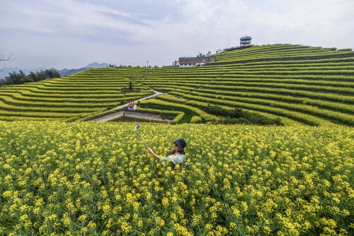 幸福美满！✌的图片