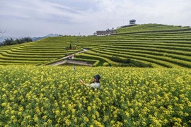 幸福美满！✌主播照片