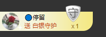 海鸽晚上见主播照片