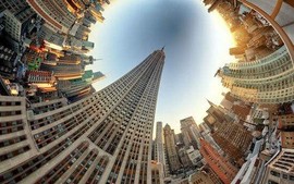 知己知辟百战不殆主播照片
