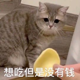 肥肥小豆芽😈退了主播照片