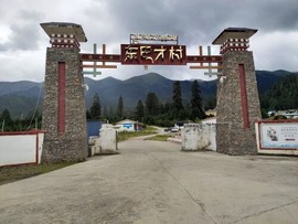 乐二娃祝大家五一快乐主播照片