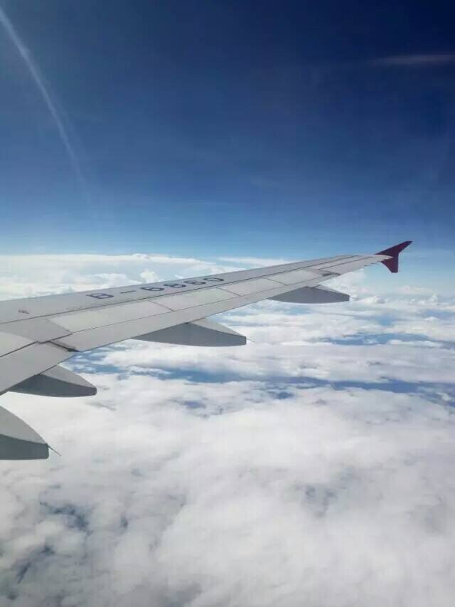 挚爱一生～的图片