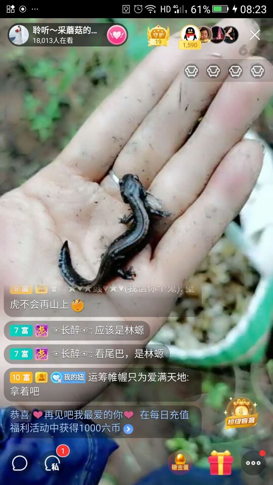 聆听~福妞儿的图片
