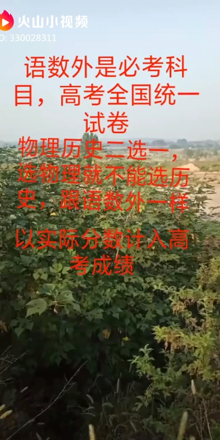 建议
