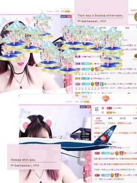 一只雁~主播照片