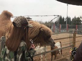 荔枝吞瑶瑶主播照片