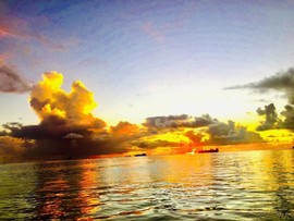 龙腾四海龙飞主播照片