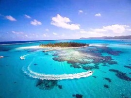 龙腾四海龙飞主播照片