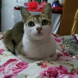 ♥狂浪哥♥主播照片
