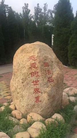 *唤醒*主播照片