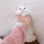 ♤就想看你