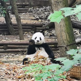 给木欧喔主播照片