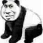 阳哥hxh海报