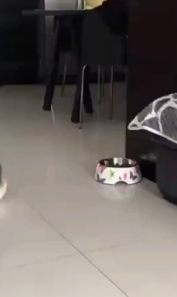 唠嗑