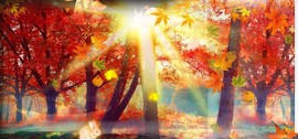 蒙多～主播照片