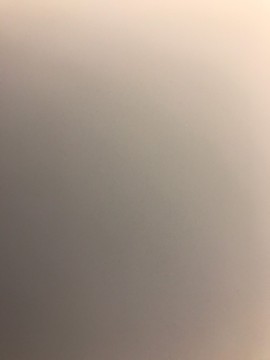 test20004主播照片