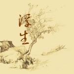 一曲流年乱浮生