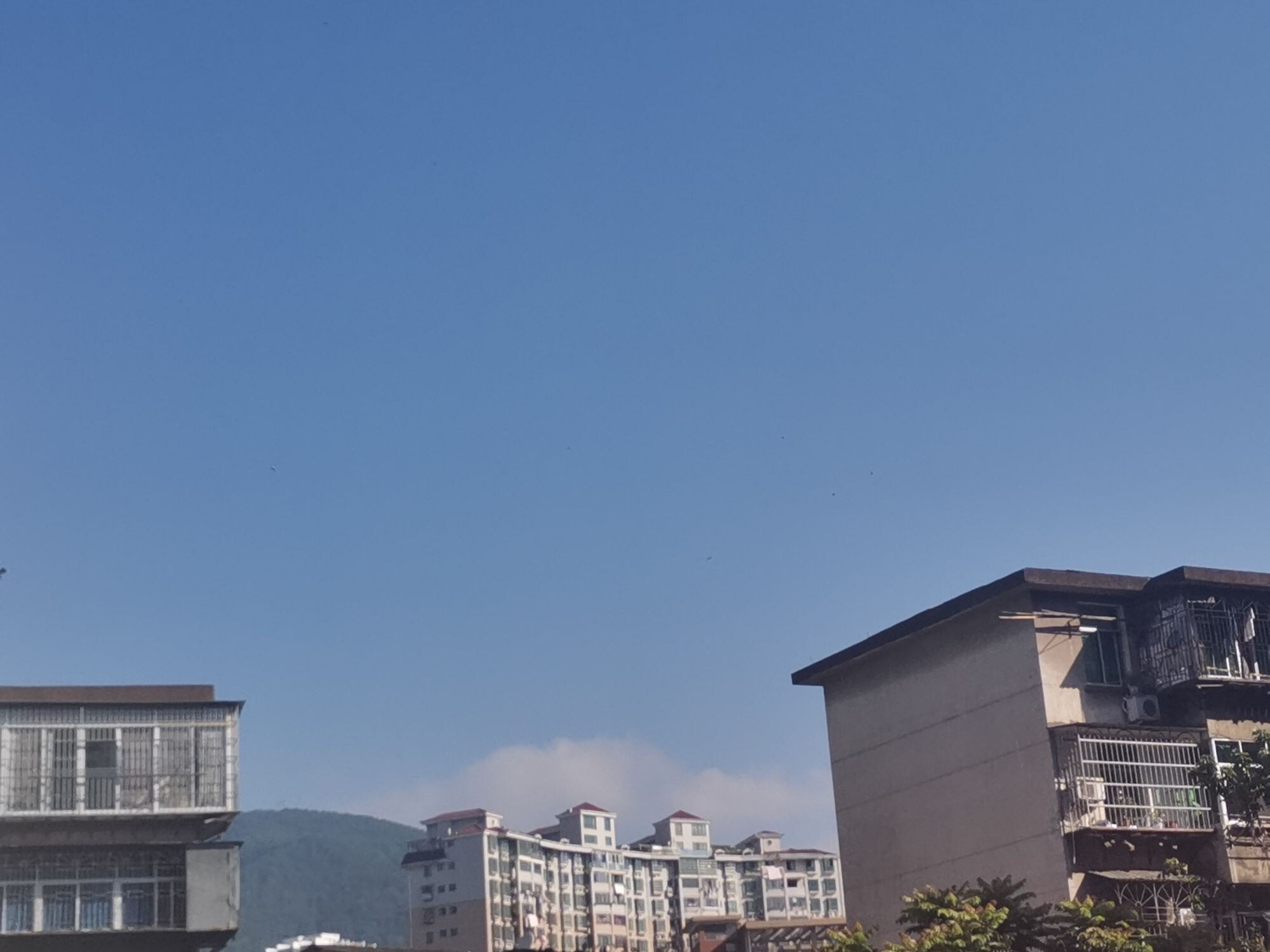 大喜庆升冠感谢遇见你的主播照片