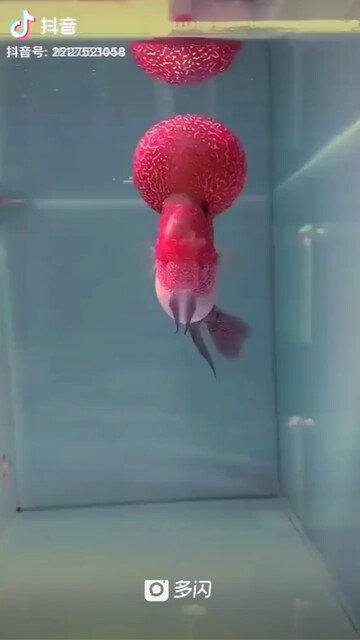 罗汉