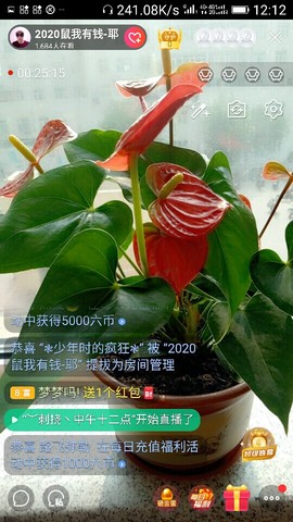 千容女郎主播照片