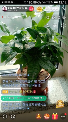 千容女郎主播照片