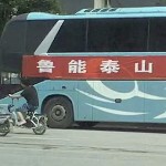 我是专门来看跳舞的