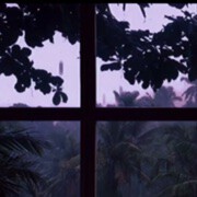 我已经收不了手了的头像