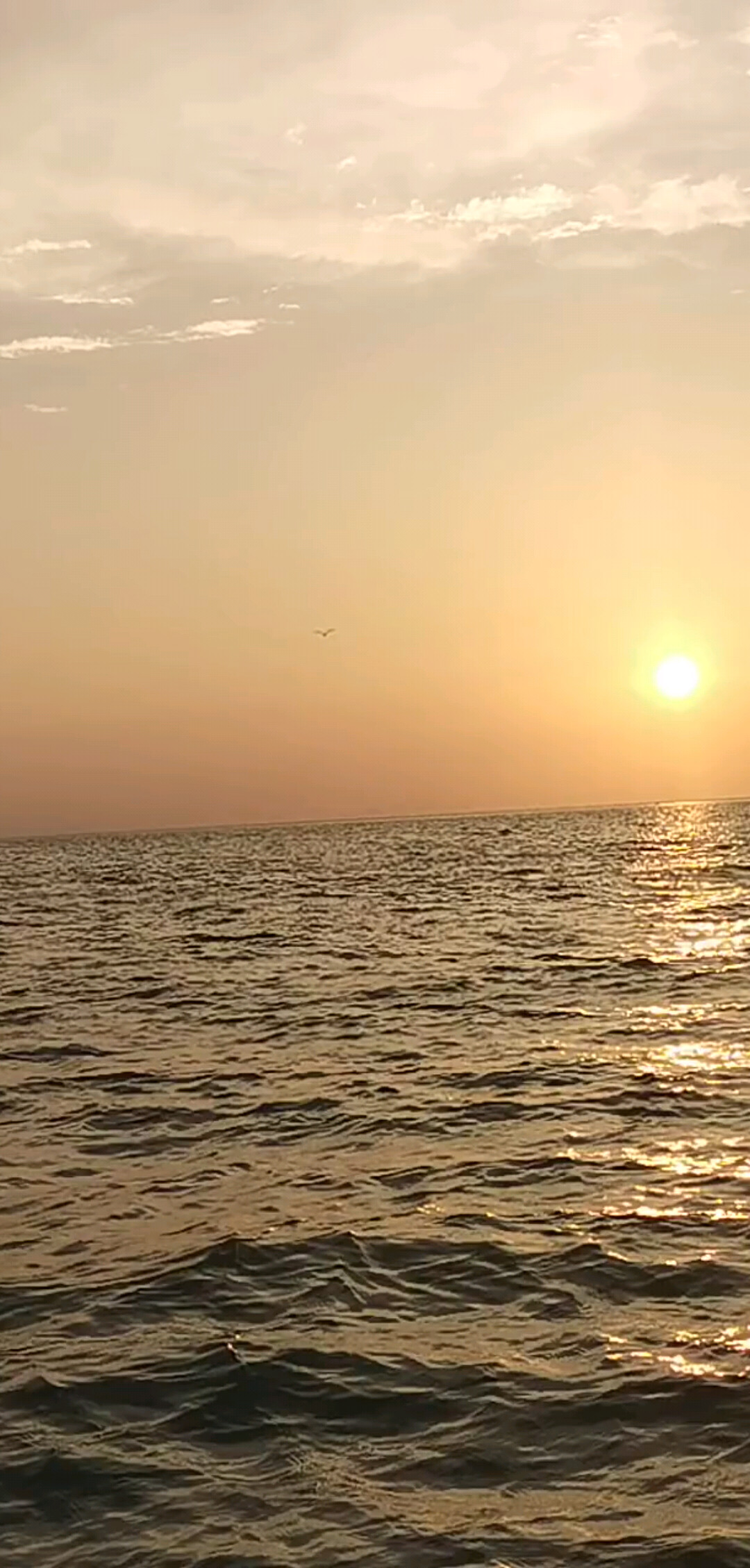 海上落日