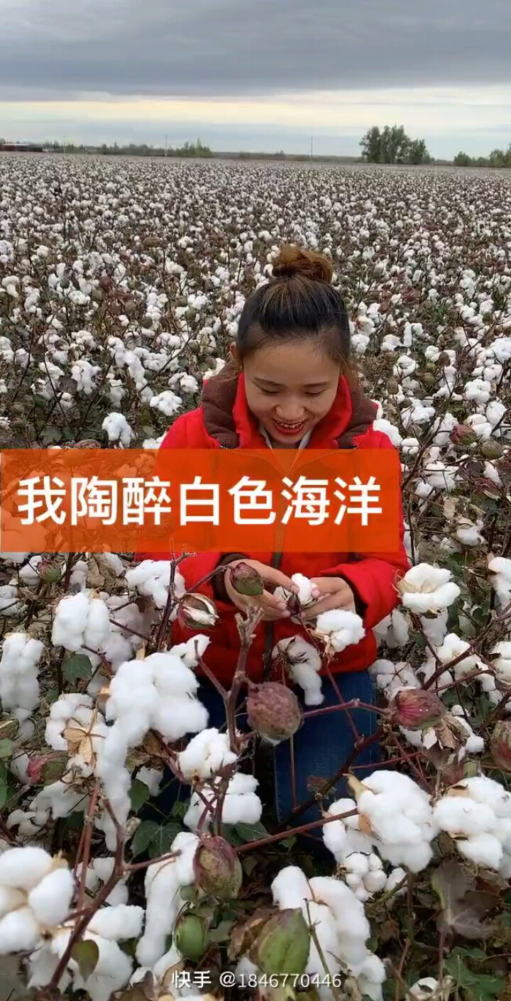 我陶醉在白色的海洋
