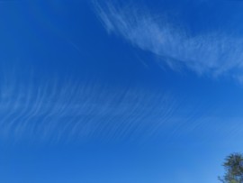ღ瑋玮主播照片