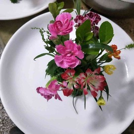 დ释怀დ主播照片
