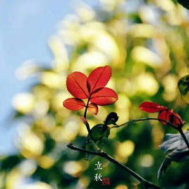 拾月★October主播照片